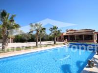 Resale - Villa - Catral - Countryside 