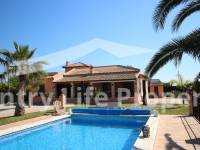 Resale - Villa - Catral - Countryside 