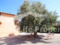 Resale - Villa - Catral - Countryside 