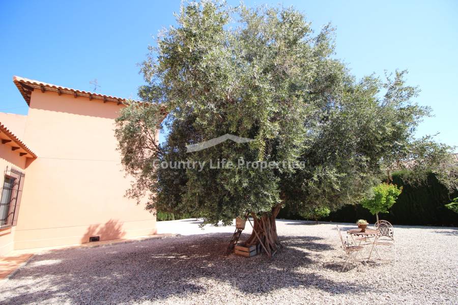 Resale - Villa - Catral - Countryside 