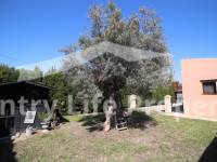 Resale - Villa - Catral - Countryside 