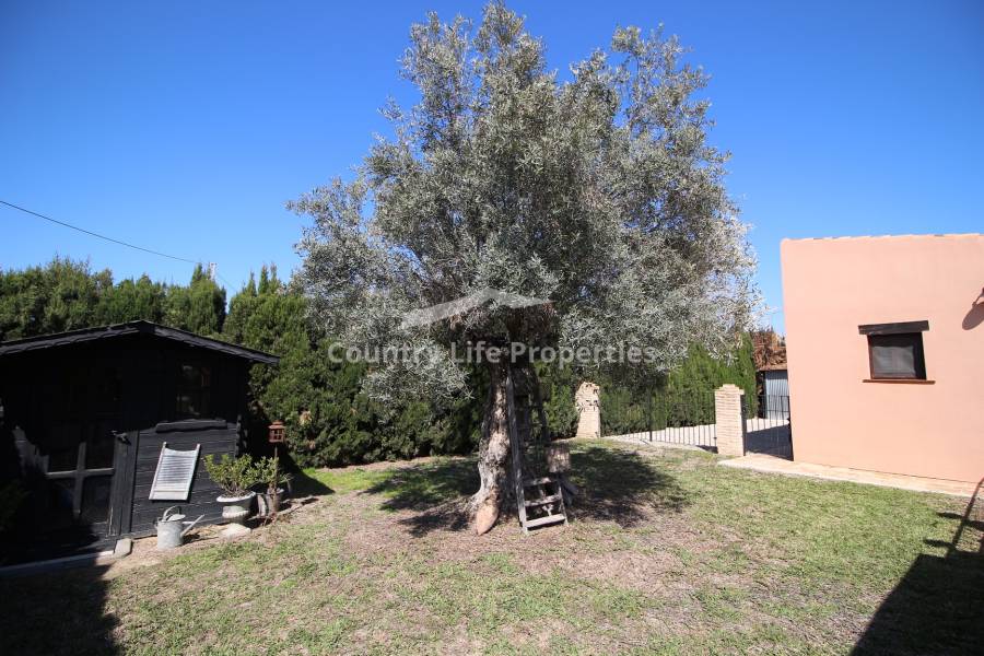 Resale - Villa - Catral - Countryside 