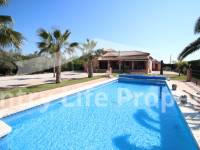 Resale - Villa - Catral - Countryside 