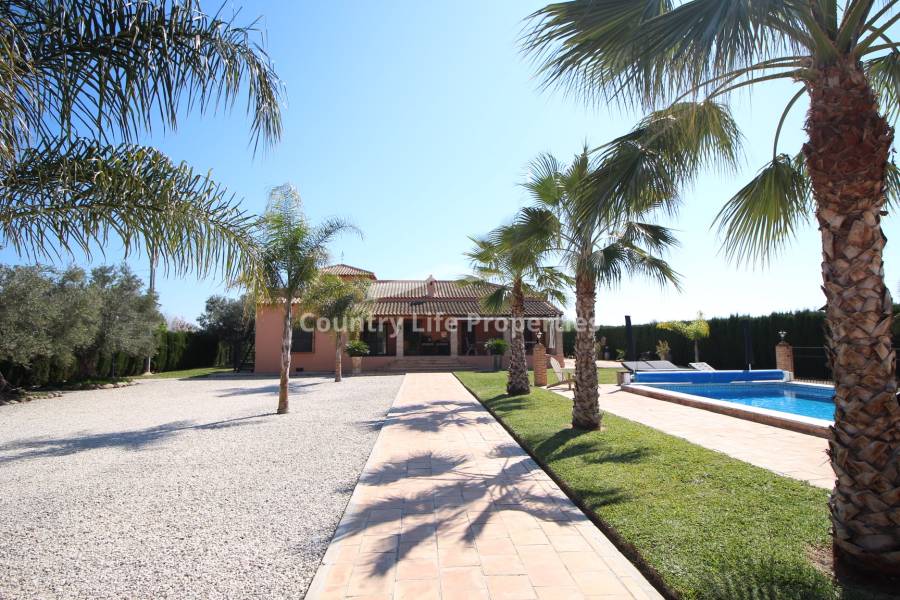 Resale - Villa - Catral - Countryside 