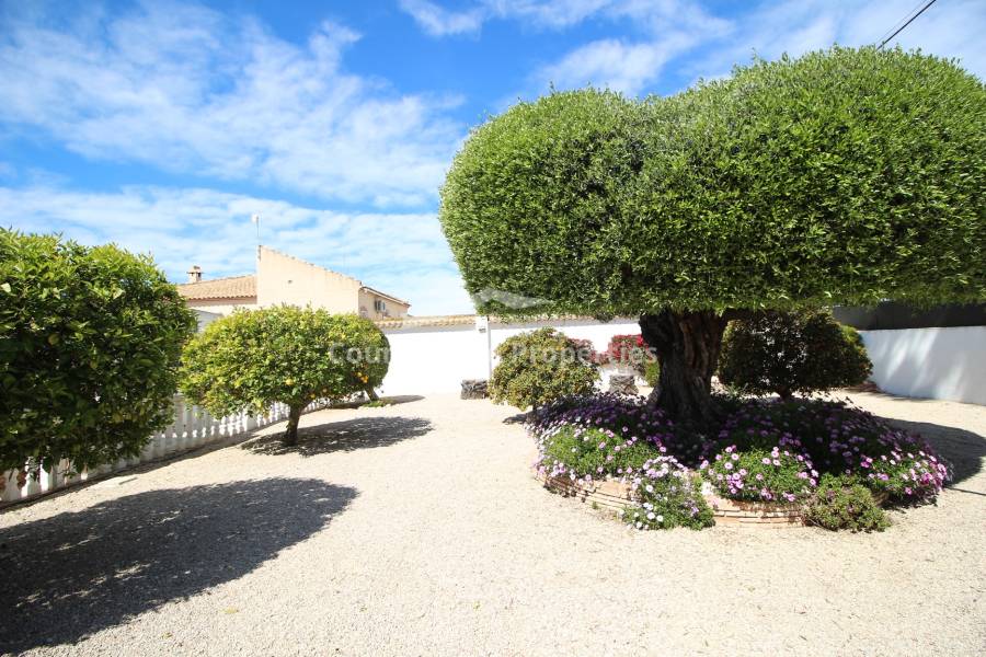 Resale - Villa - Catral - Countryside 