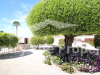 Resale - Villa - Catral - Countryside 