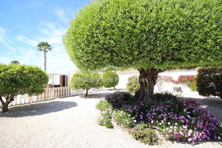 Resale - Villa - Catral - Countryside 
