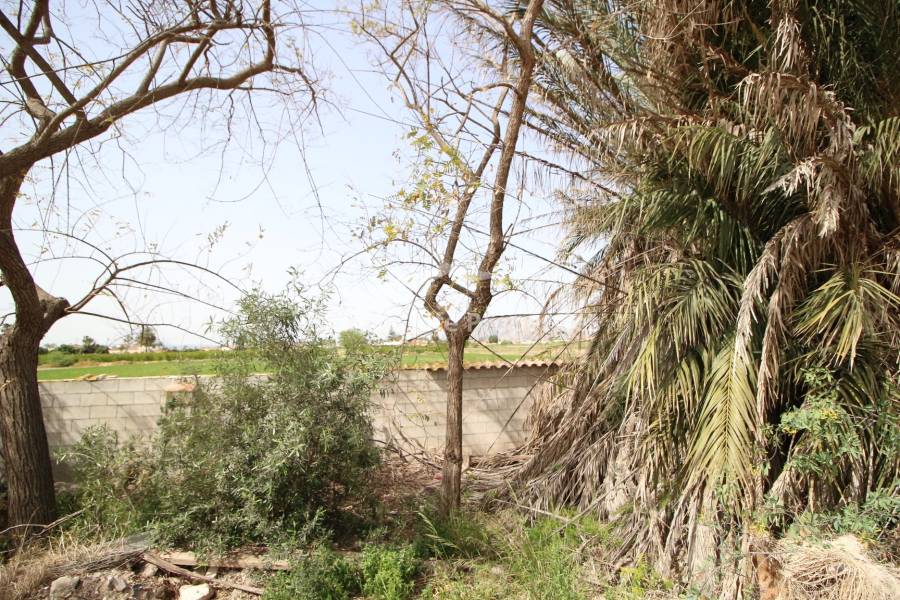 Wederverkoop - Landhuis - Catral - Countryside 