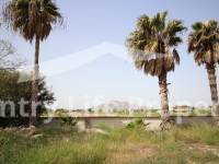 Wederverkoop - Landhuis - Catral - Countryside 