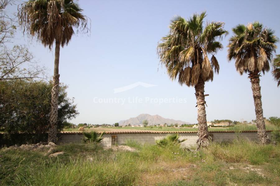 Wederverkoop - Landhuis - Catral - Countryside 