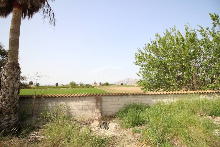 Wederverkoop - Landhuis - Catral - Countryside 