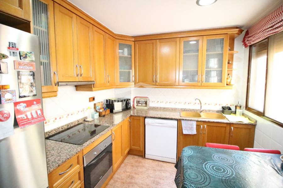 Location longue durée - Appartement - Dolores - Town