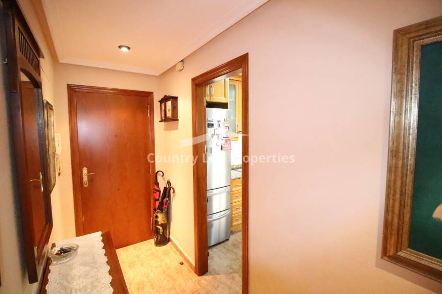 Location longue durée - Appartement - Dolores - Town