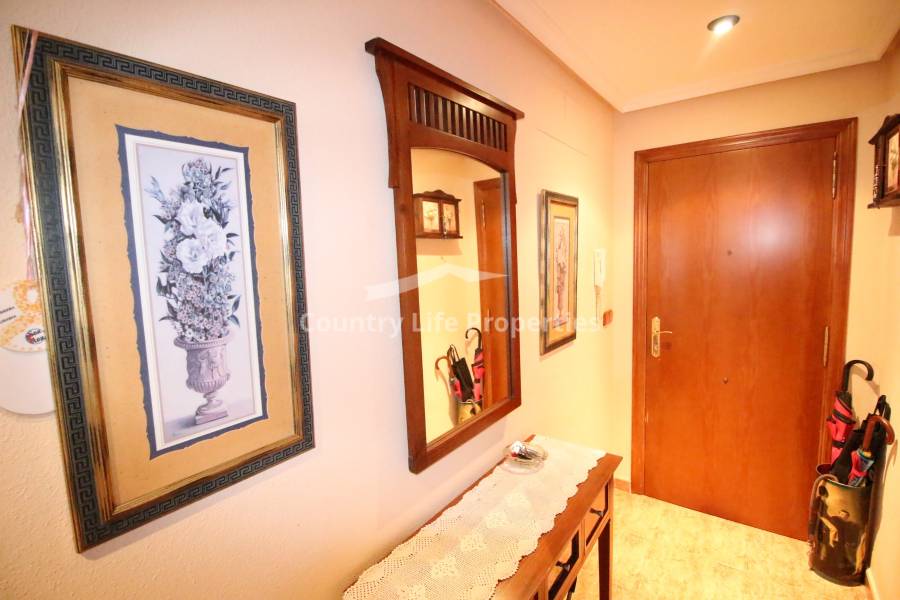 Location longue durée - Appartement - Dolores - Town