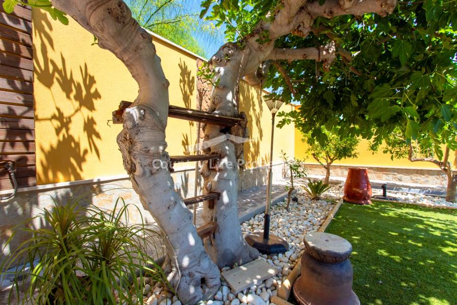 Revente - Chalet - Orihuela - .