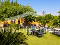Revente - Chalet - Orihuela - .