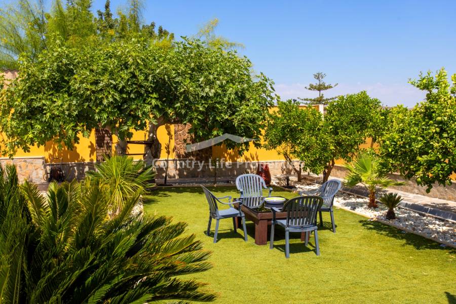 Revente - Chalet - Orihuela - .