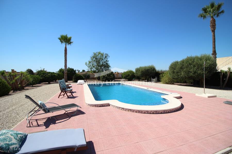 Resale - Villa - Catral - Countryside 